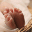 Фото: pixabay.com - Newsprom.Ru