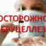 Требования по недопущению распространения бруцеллёза - Россельхознадзор