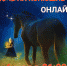 Конный клуб "Кентавр" Ишим во ВКонтакте - ИА Тюменская линия
