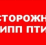 Профилактика возникновения и распространения гриппа птиц - Россельхознадзор