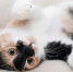 pixabay.com - Newsprom.Ru