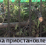 Снос зеленых насаждений возле детсада «Крепыш» приостановили по поручению главы Тюмени - ГТРК Регион-Тюмень