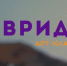 Тюменцев зовут на молодежный форум «Таврида» - Тюменская область сегодня
