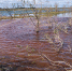 Горючее попало в воду рек Далдыкан и Амбарная (на фото), которая впадает в озеро Пясино|Фото: Пресс-служба - Nakanune.Ru