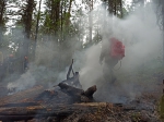 Пожар в заповеднике "Денежкин Камень"(2020)|Фото: Заповедник "Денежкин Камень"