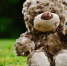 pixabay.com - Newsprom.Ru