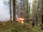 Пожар в заповеднике "Денежкин Камень"(2020)|Фото: Заповедник "Денежкин Камень"