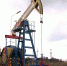 Заслуги работников компании «Сургутнефтегаз» отметили на государственном уровне - ГТРК Регион-Тюмень