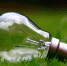 pixabay.com - Newsprom.Ru