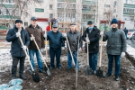 Деревья Шарпатова