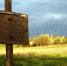 Фото: pixabay.com - Newsprom.Ru