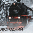 Музей «Городская Дума» приглашает на «Новогодний экспресс» - Музейный комплекс