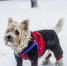 pixabay.com - Newsprom.Ru