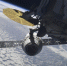 www.roscosmos.ru - ИА Тюменская линия