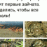 Началось! В Тюмени на Лесобазе из-за пала сухой травы произошел крупный пожар - ТюменьПро
