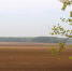 pixabay.com - Newsprom.Ru