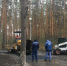 В Тюмени благоустройство в Гилевской роще после аварии завершат 1 мая - ИА Тюменская линия