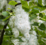 pixabay.com - Newsprom.Ru