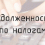Как не остаться без имущества за долги по налогам? - УФНС