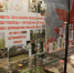 Экскурсии "Тюмень – город трудовой доблести" проведут в День молодежи - ИА Тюменская линия