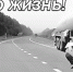 О нарушении правил ПДД в районе - TyuMedia.Ru