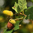 pixabay.com - Newsprom.Ru