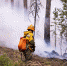 Фото ФБУ "Авиалесоохрана" - Newsprom.Ru