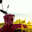 pixabay.com - Newsprom.Ru