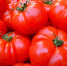 pixabay.com - Newsprom.Ru