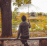pixabay.com - Newsprom.Ru