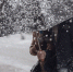 Внимание! Неблагоприятные погодные явления - МЧС