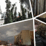 Главные новости Тюменской области за 1 февраля - Tumentoday.Ru