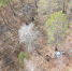 dlk.admtyumen.ru - Newsprom.Ru