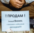 Тюменцы мечтают открыть свой бизнес в сфере услуг, развлечений и финансов - ТюменьПро