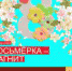 Подарок на 8 Марта - Ялуторовский музейный комплекс