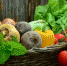 Рестораторы Тюмени собираются закупать продукты у дачников - NG72.Ru
