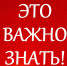 Значение трудовых отношений в современных условиях - ГосИнспекция Труда