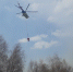 В Тюменской области действует 11 ландшафтных пожаров - Newsprom.Ru