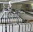 Ялуторовский комбинат на 76% увеличит выпуск силикатного кирпича - Tumentoday.Ru