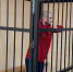 Тюменский суд рассмотрит дело о попытке сбыта наркотиков на 100 млн рублей - Newsprom.Ru
