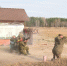 Подготовка мобилизованных - Rayon72.Ru