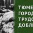 «Труженики тыла: Тюменский аккумуляторный завод» - ЦГБС Тюмени