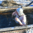 Сергей Елесин, ИА "Тюменская линия" - ИА Тюменская линия