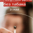 31 мая — Всемирный день без табака - NedugamNet.Ru