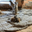 Фото Нины Бариновой - Tumentoday.Ru