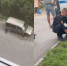 Фото: скриншот видео ЧС Тюмень / vk.com - Tumentoday.Ru