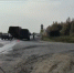 Тюменка с восьмью собаками в машине сбила насмерть пенсионера на пешеходном переходе - ГТРК Регион-Тюмень