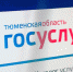 Тюменцы за неделю на Госуслугах оставили около 800 сообщений - NG72.Ru