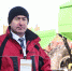 Восемь брендов представили сельхозтехнику на выставке "Иннотех АПК" в Тюмени - ИА Тюменская линия