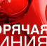 Начала работу горячая линия по услугам такси и каршеринга - TyuMedia.Ru